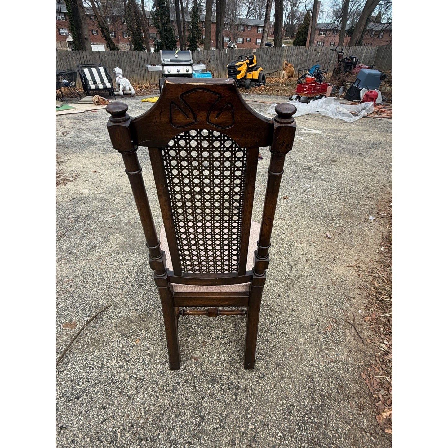 Vintage Wooden Dining Chair With Caned Back & Padded Seat - Set of 6