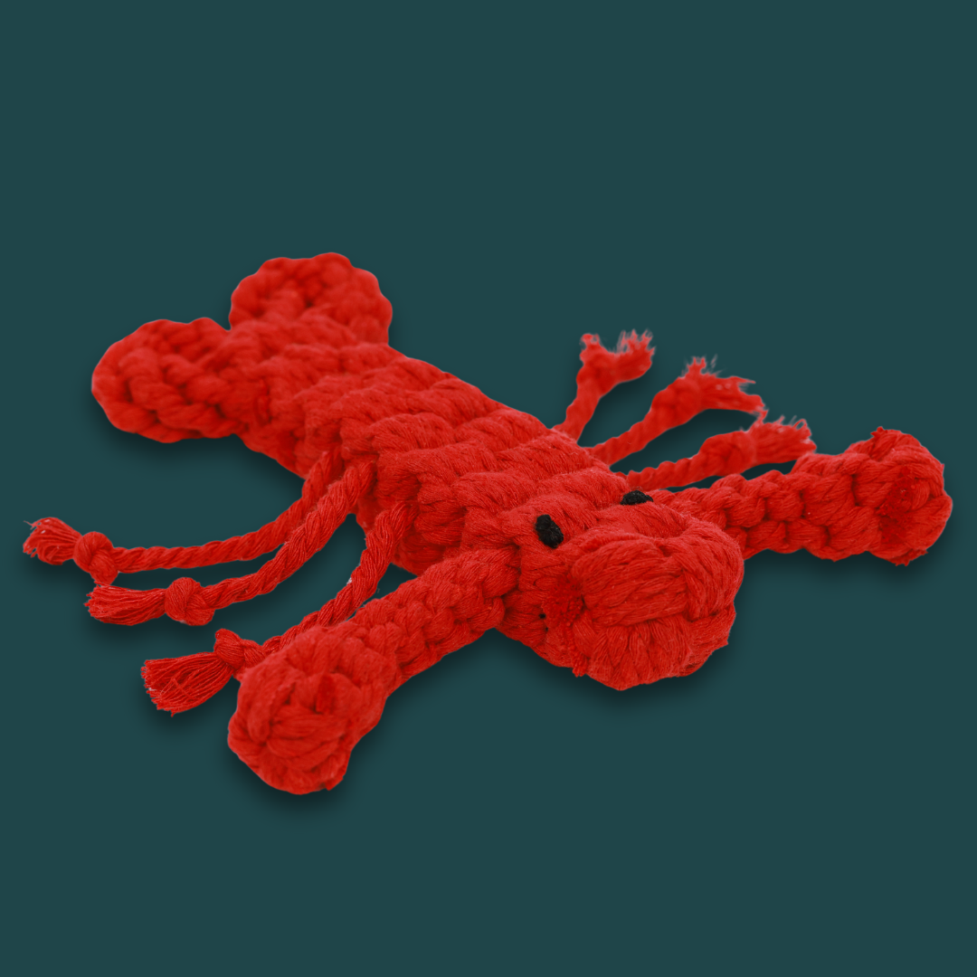 Rose the Lobster Pet Rope Toys