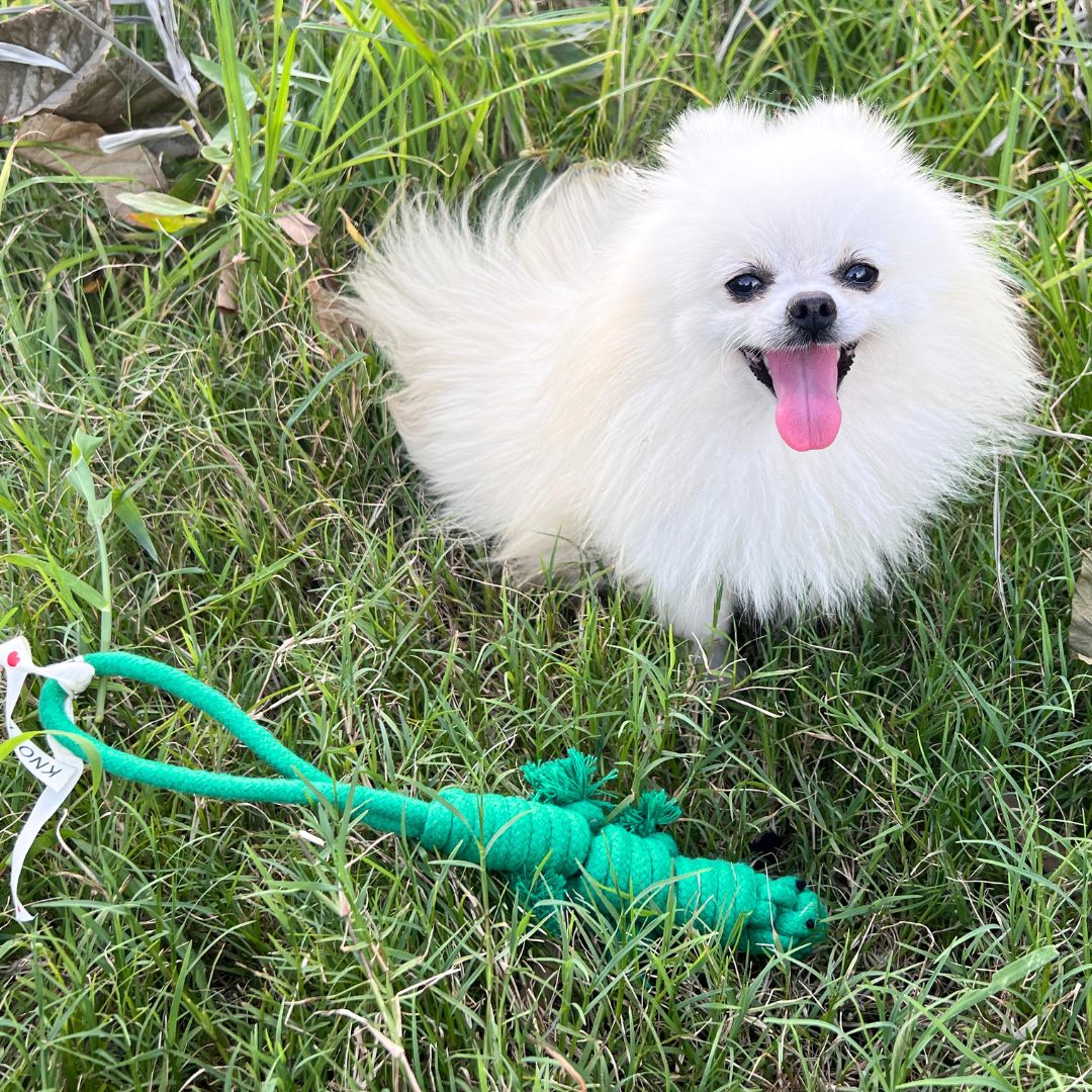 Owen the Green Lizard Rope Toy