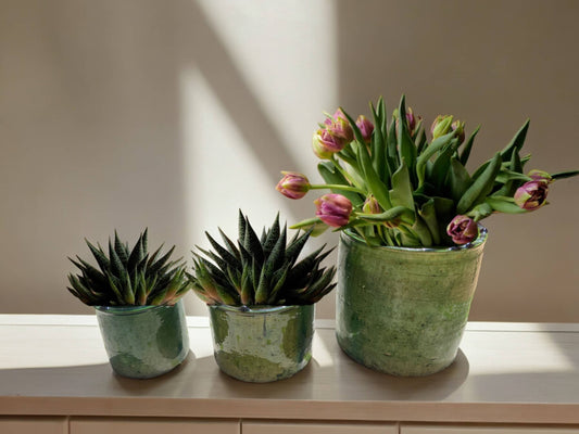 Handmade Moroccan Vintage Shaded Green Glaze Tamegroute Planter/Pot: Unique Ceramic Pottery for Plants or Utensils