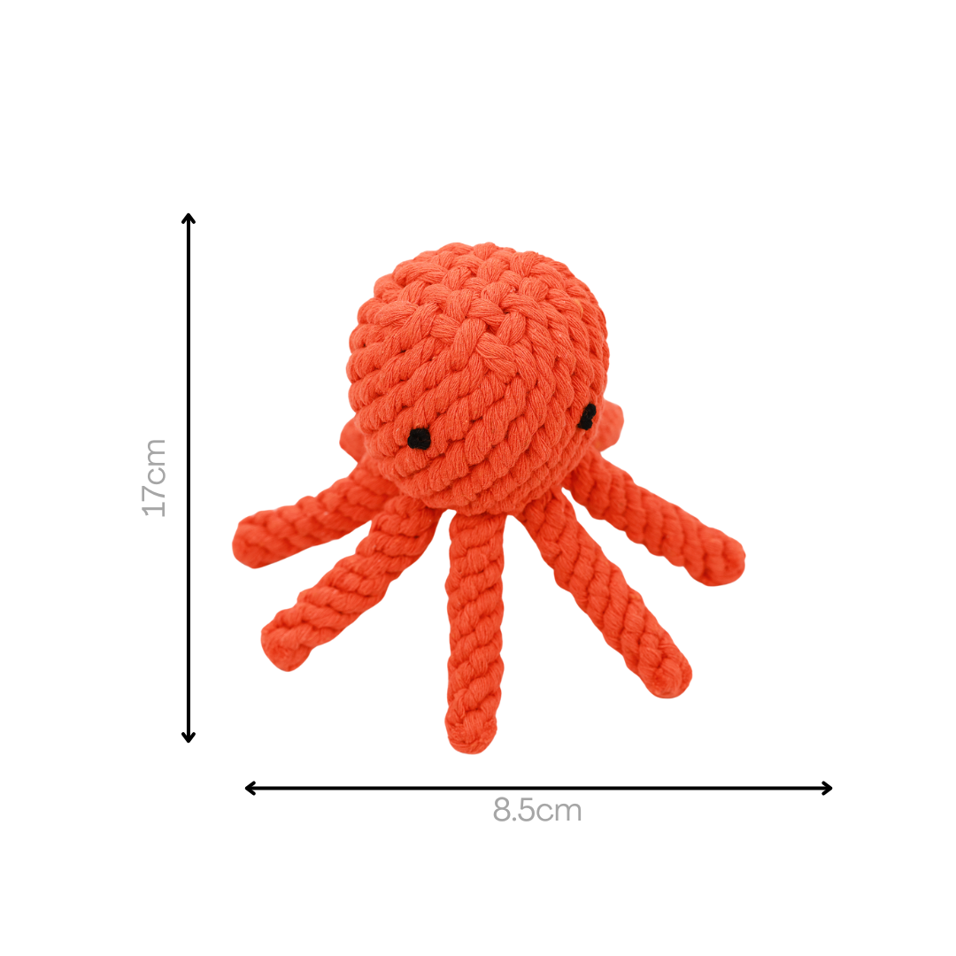 Ollie the Octopus Rope Toy