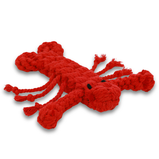 Rose the Lobster Pet Rope Toys