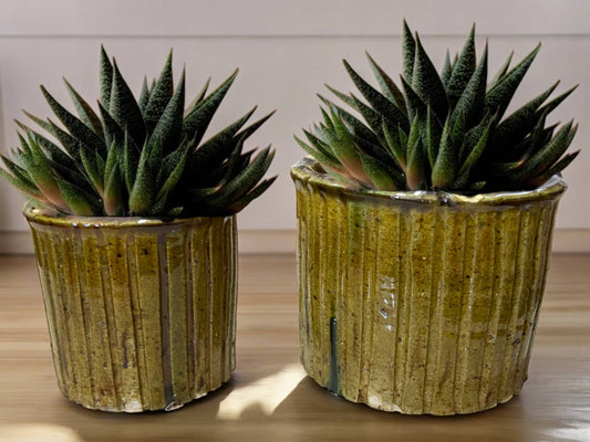 Handmade Moroccan Vintage Shaded Ochre Glaze Tamegroute Ribbed Planter/Pot: Unique Ceramic Pottery for Plants