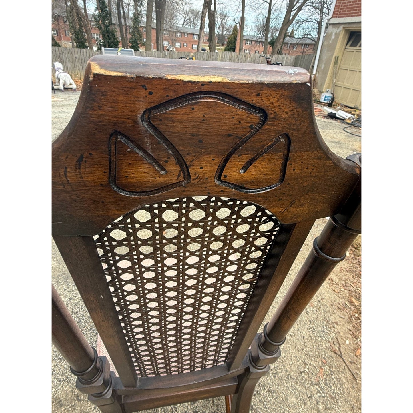 Vintage Wooden Dining Chair With Caned Back & Padded Seat - Set of 6