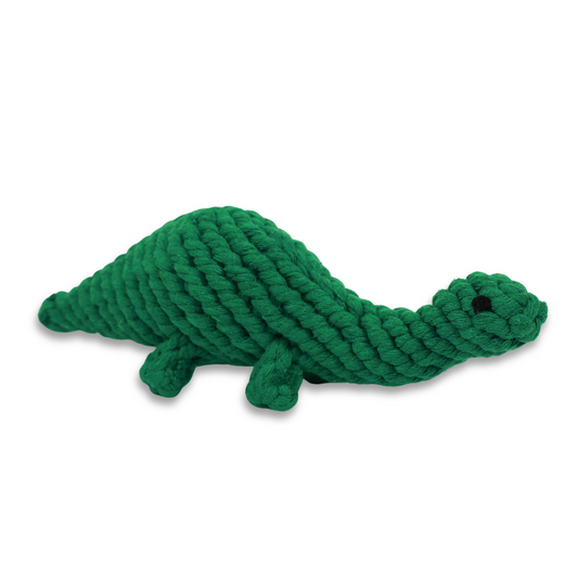 Rex the Green Dinosaur Rope Toy