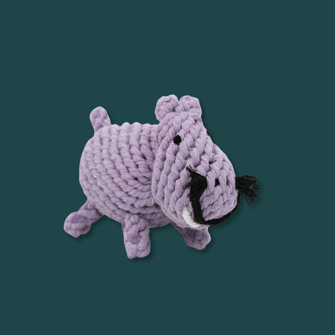 Pippa the Hippo Rope Toy
