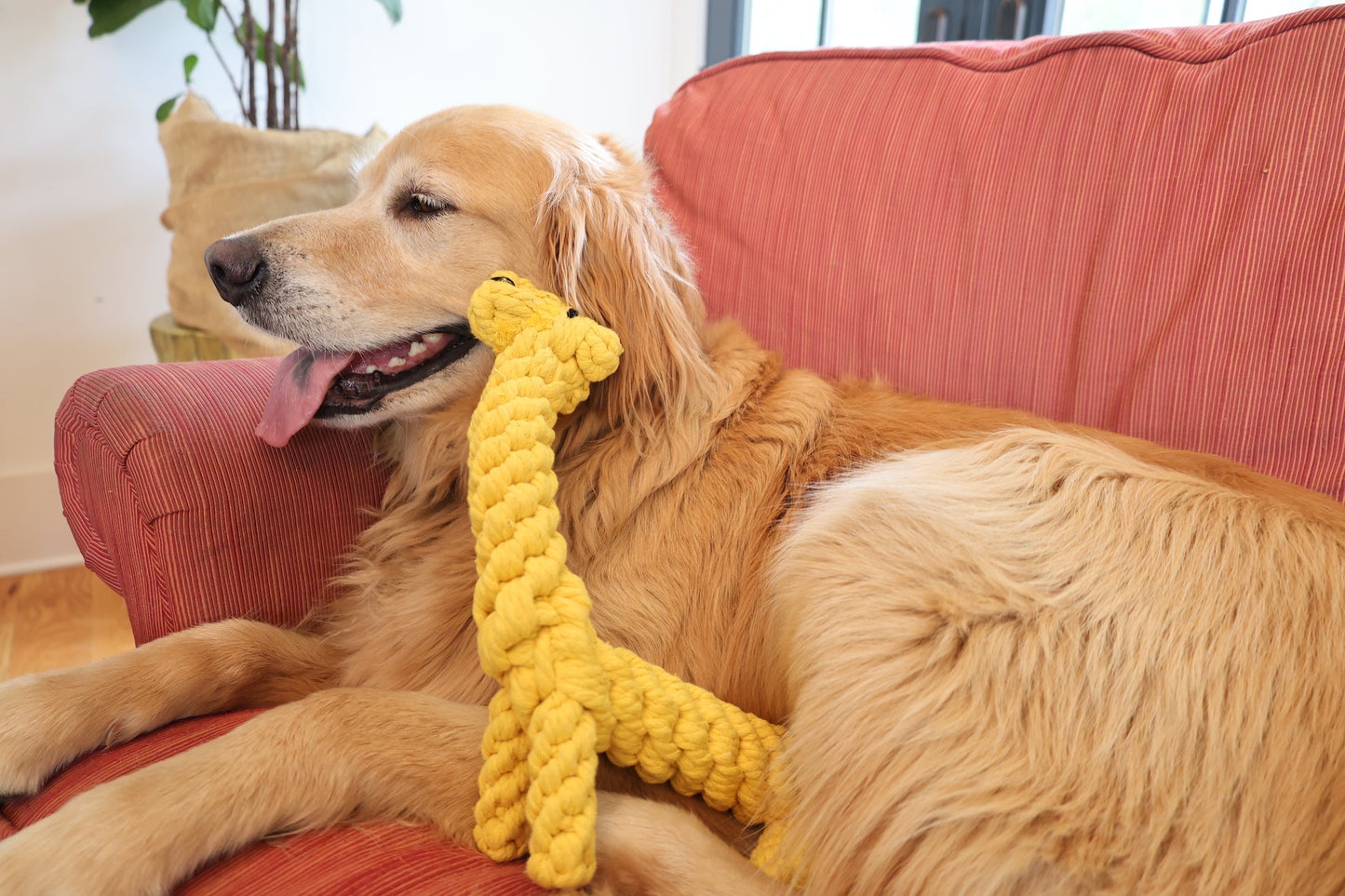 Luxury Handmade Macrame Large Giraffe