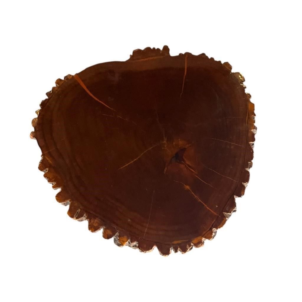 Mid Century Live Edge Stool With Tree Slice Top & Brass-Capped Legs
