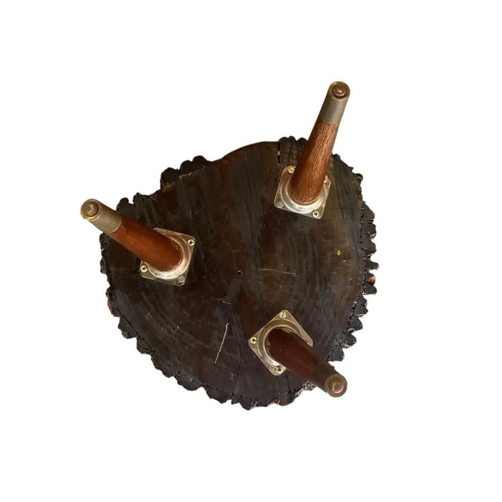 Mid Century Live Edge Stool With Tree Slice Top & Brass-Capped Legs