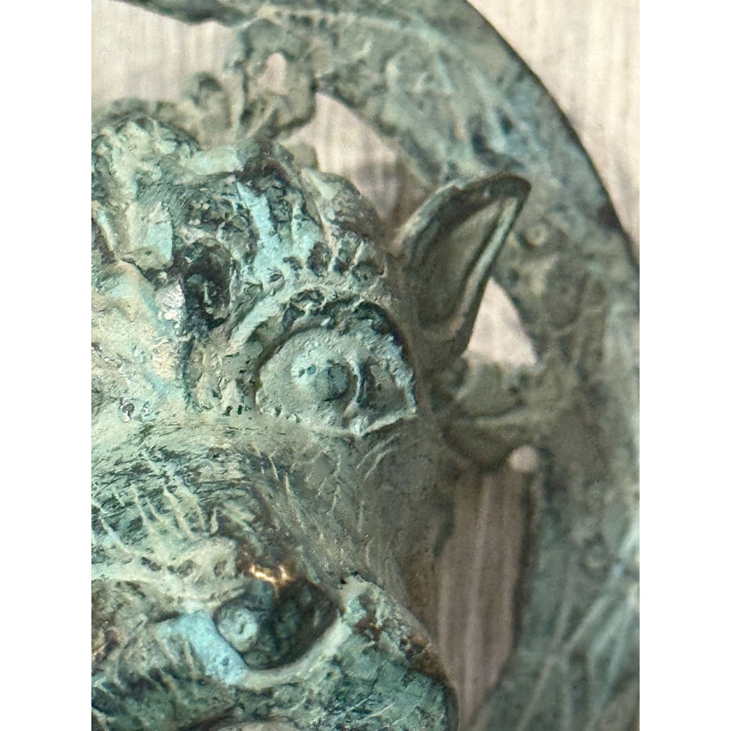 Antique Brass Lion Head Door Knocker With Circular Backplate - c 1800's