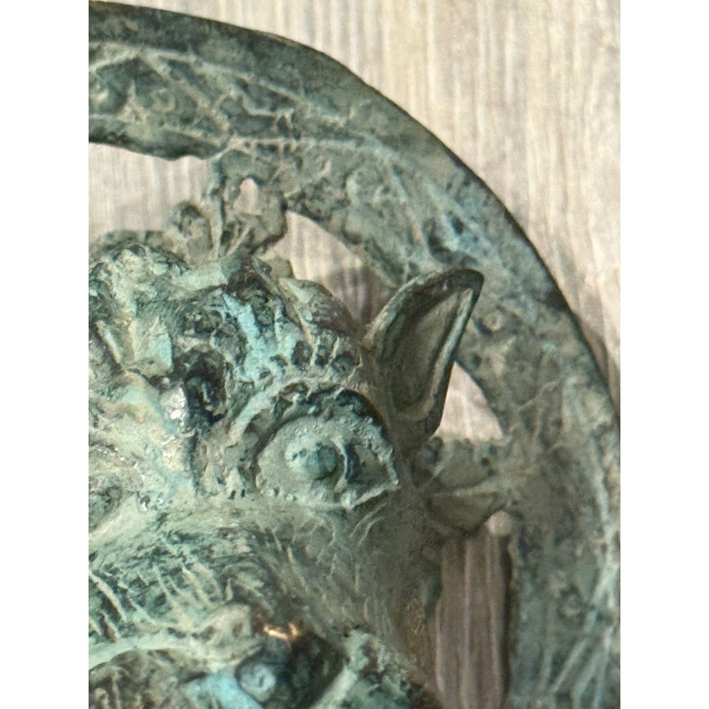 Antique Brass Lion Head Door Knocker With Circular Backplate - c 1800's