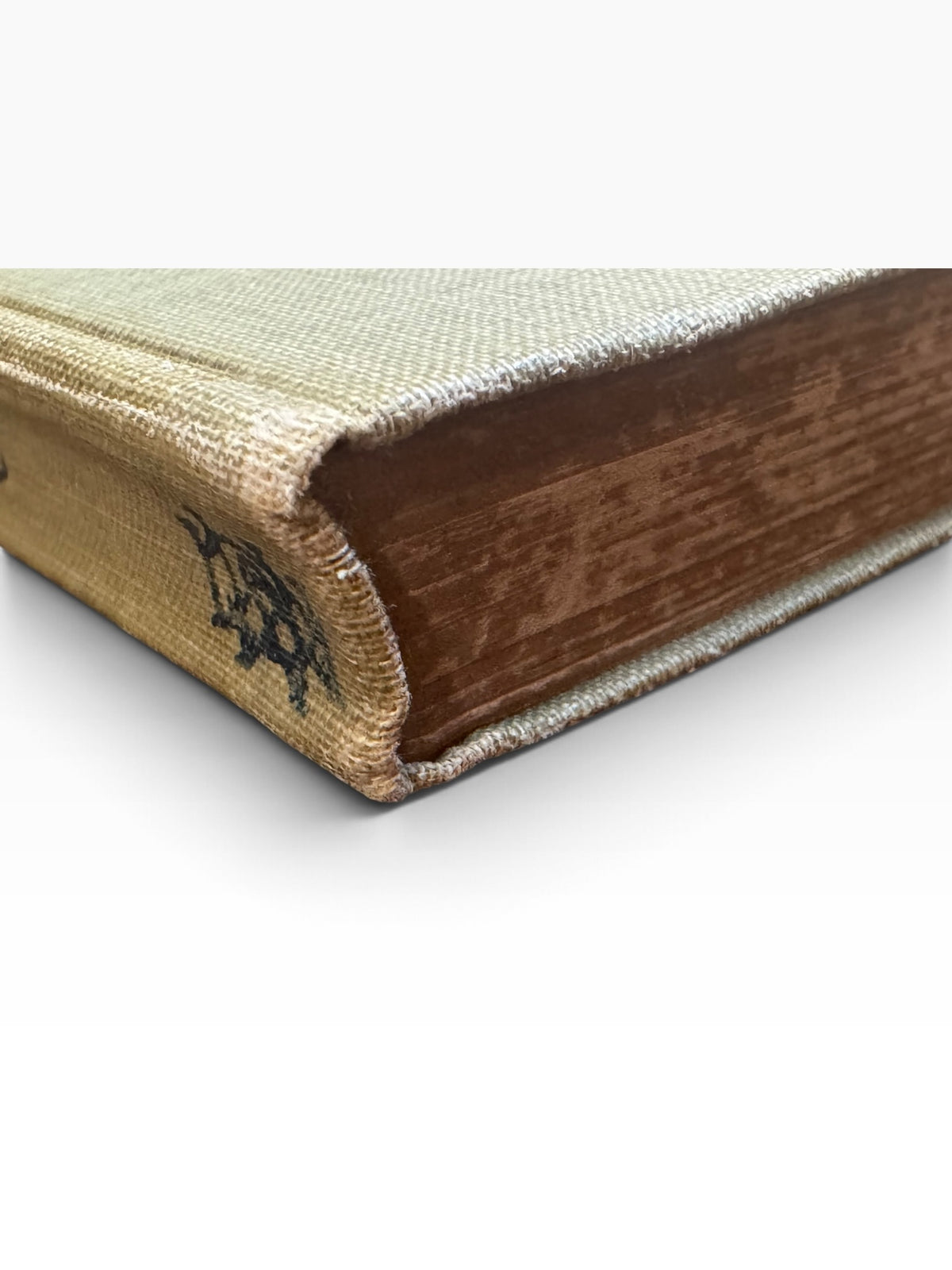 Close-up of the olive-green cloth spine and top edge of the 1911 antique hardcover book The Golden Treasury.