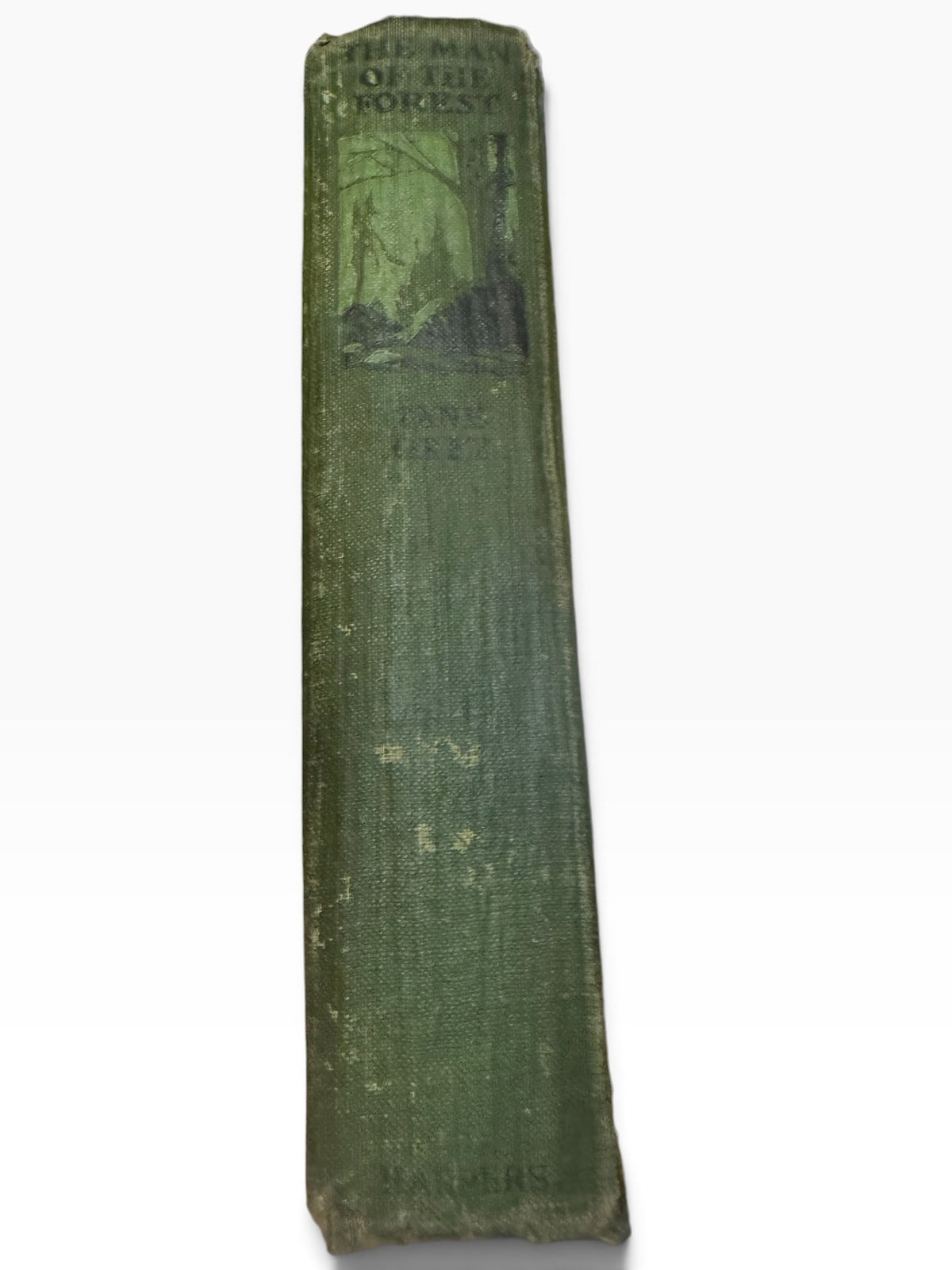 Spine of The Man of the Forest by Zane Grey, 1920 edition in green pictorial cloth with black and light green design.
