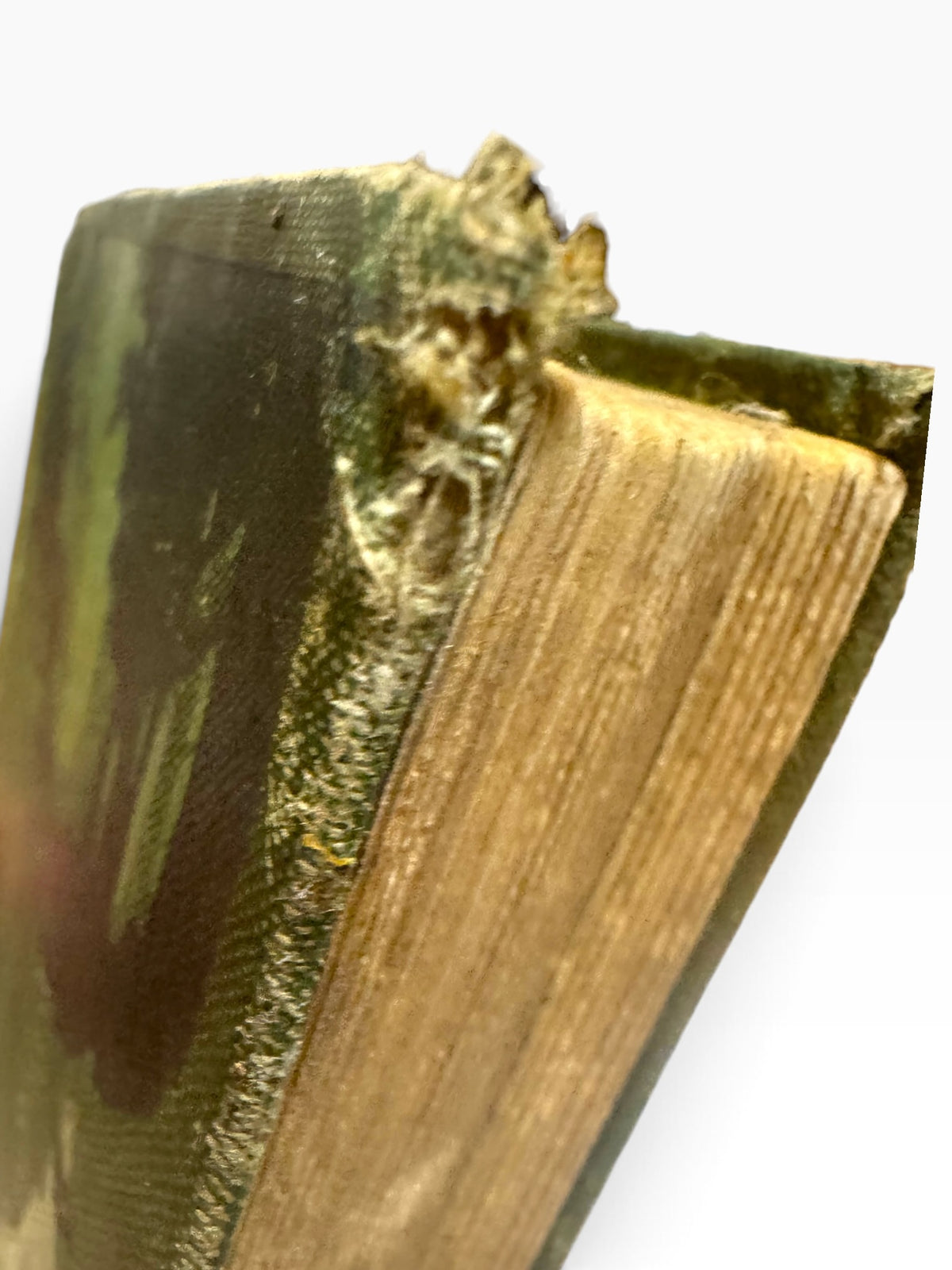 Close-up of the frayed green cloth spine head on a 1920 Zane Grey The Man of the Forest first edition book.