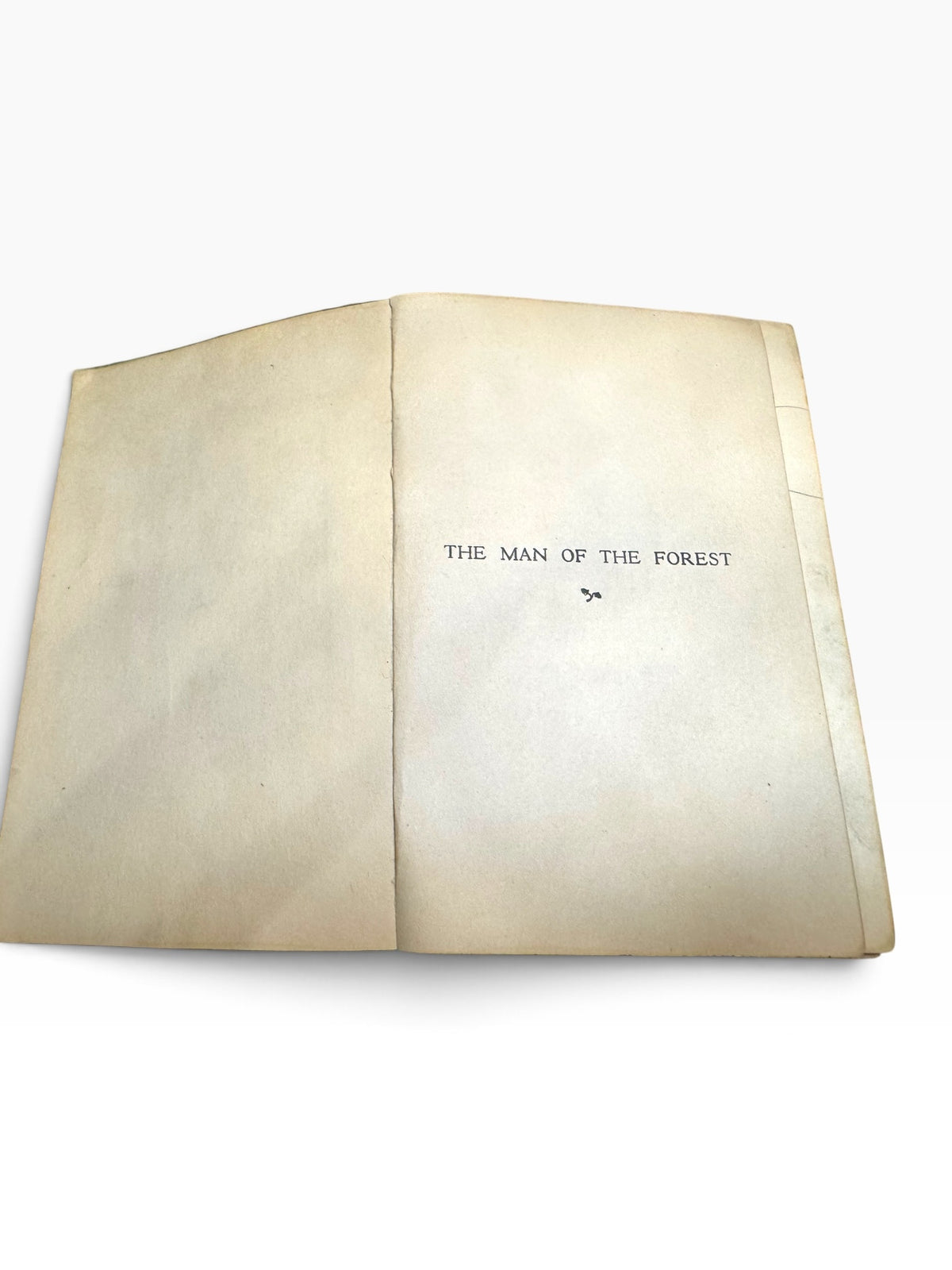 Title page of the 1920 first edition Zane Grey novel The Man of the Forest with age-toned paper.